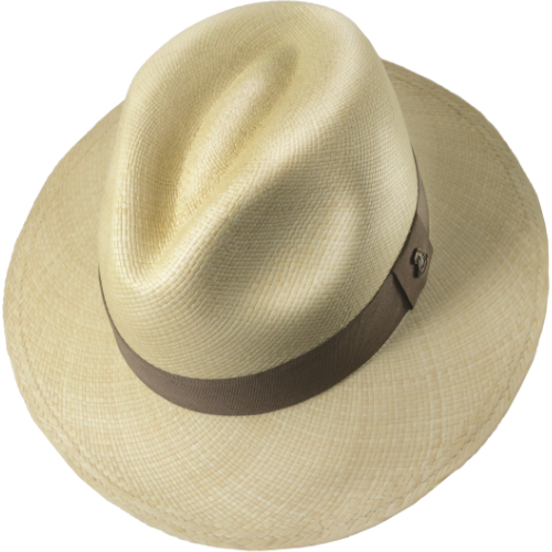 Beige panama hat online